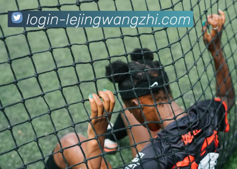 乐竟网址品牌故事